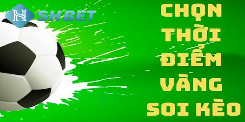 Banner www.thietbiminhtuong.com