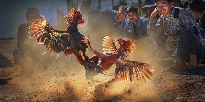 Banner www.thietbiminhtuong.com