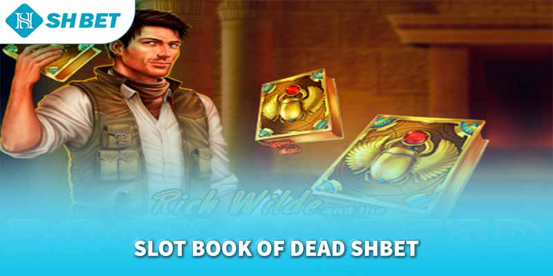 Banner www.thietbiminhtuong.com