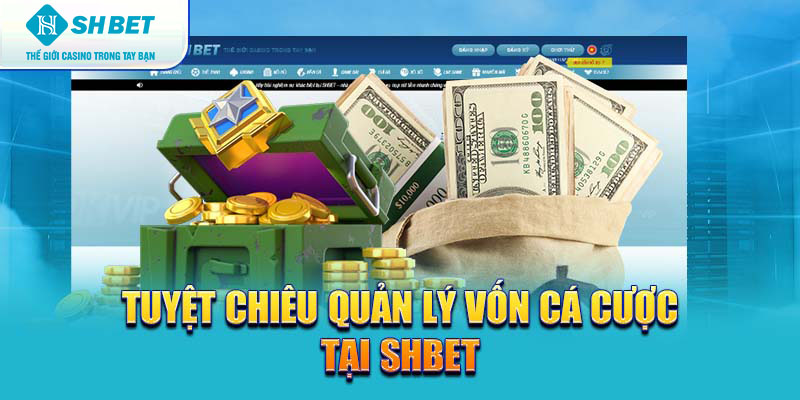 Banner www.thietbiminhtuong.com